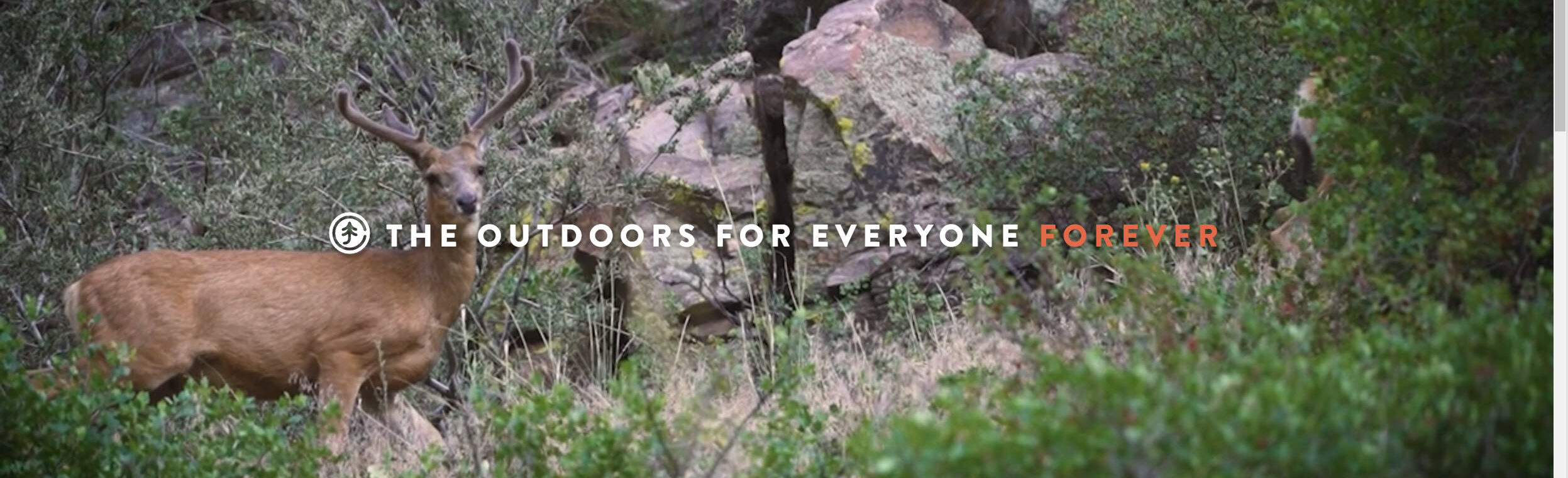 Launching the New Jeffco Open Space Foundation Website - Jeffco Open ...