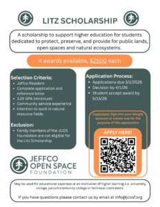 Flier with Scholarship details