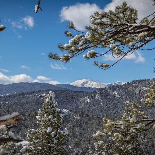 View of Mount Evans from Alderfer/Three Sisters Park